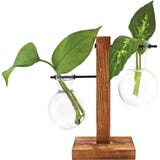 WINKEE Hydro Vase Fleur