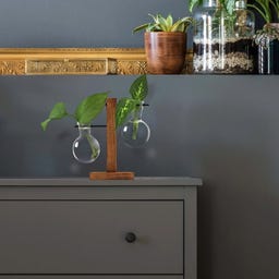 WINKEE Hydro Vase Fleur - 1 Stk.