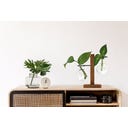 WINKEE Hydro Vase Fleur - 1 Stk.