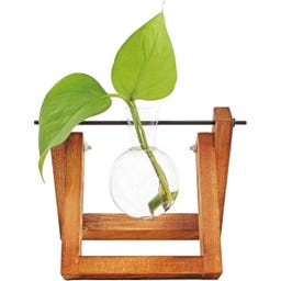 WINKEE Hydro Vase Lilly - 1 Stk.