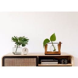 WINKEE Hydro Vase Lilly - 1 Stk.