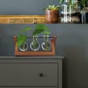 WINKEE Hydro Vase Blossom - 1 Stk.