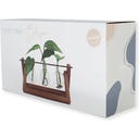 WINKEE Hydro Vase Blossom - 1 Stk.