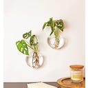 WINKEE Wand Vase Dahlia, 2er Set - 1 Stk.