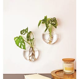 WINKEE Wand Vase Dahlia, 2er Set - 1 Stk.