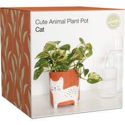 WINKEE Blumentopf Katze