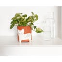 WINKEE Blumentopf Katze