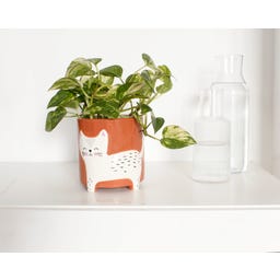 WINKEE Blumentopf Katze