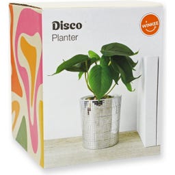 WINKEE Disco Blumentopf