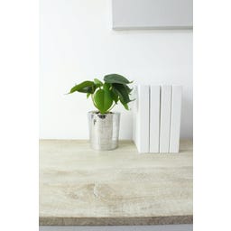 WINKEE Disco Blumentopf