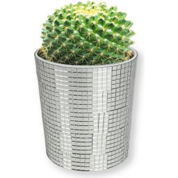 WINKEE Disco Blumentopf