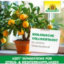 Azet DüngeSticks Zitrus- & Mediterranpflanzen - 40 Stück