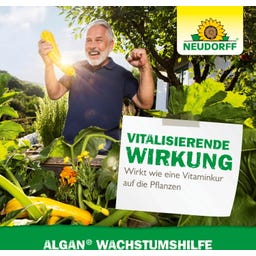 Neudorff Algan Wachstumshilfe - 250 ml