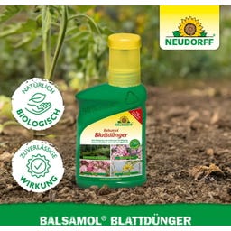Neudorff Balsamol Blattdünger - 250 ml