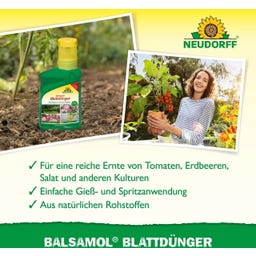Neudorff Balsamol Blattdünger - 250 ml