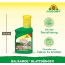Neudorff Balsamol Blattdünger - 250 ml
