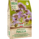 Sperli Phacelia for Soil Improvement - 350 grams