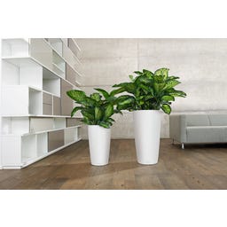 Lechuza RONDO Premium 40 - blanc mat