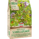 Sperli "Fast Greens" for Soil Treatment