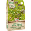Sperli Bodenkur Vital Grün - 450 g