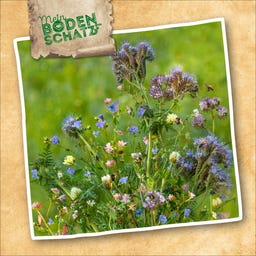 Sperli Bodenkur Vital Grün - 450 g
