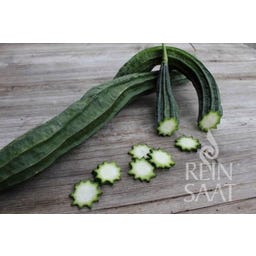 ReinSaat Star Luffa - 10 Seeds