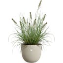 elho Kvetináč sereh round 60 cm - mushroom beige