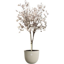 elho Kvetináč sereh round 60 cm - mushroom beige