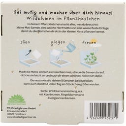 Pflanzkästchen 