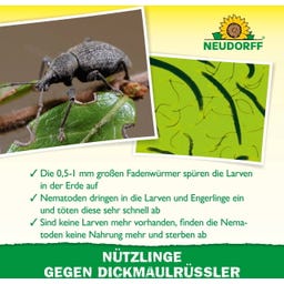 Bestellkarte Nützlinge gegen Bodenschädlinge