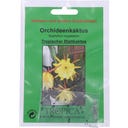 TROPICA Orchideový kaktus