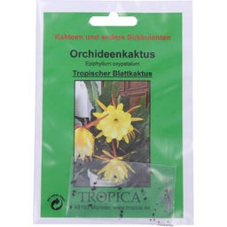 TROPICA Orchideový kaktus