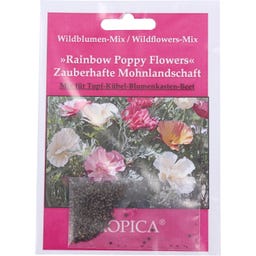Mélange de Fleurs Sauvages « Rainbow Poppy Flowers »