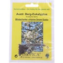 TROPICA Australischer Berg-Eukalyptus