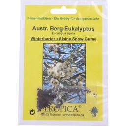 TROPICA Australischer Berg-Eukalyptus