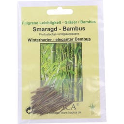 TROPICA Smaragdový bambus