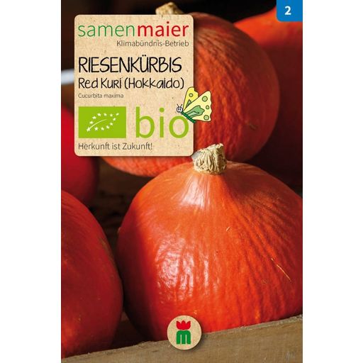 Samen Maier Bio Beet-Box - Buon Compleanno! - 1 set