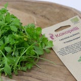 Kokopelli Bio Gartenkresse
