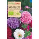 Samen Maier Bio Beet-Box - ¡Flores en el Plato! - 1 set