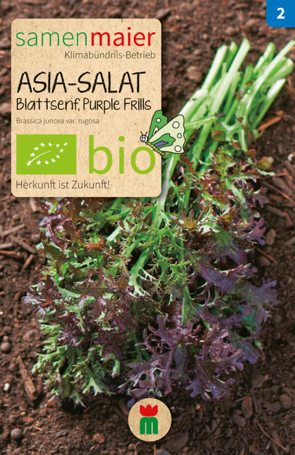 Samen Maier Bio set 