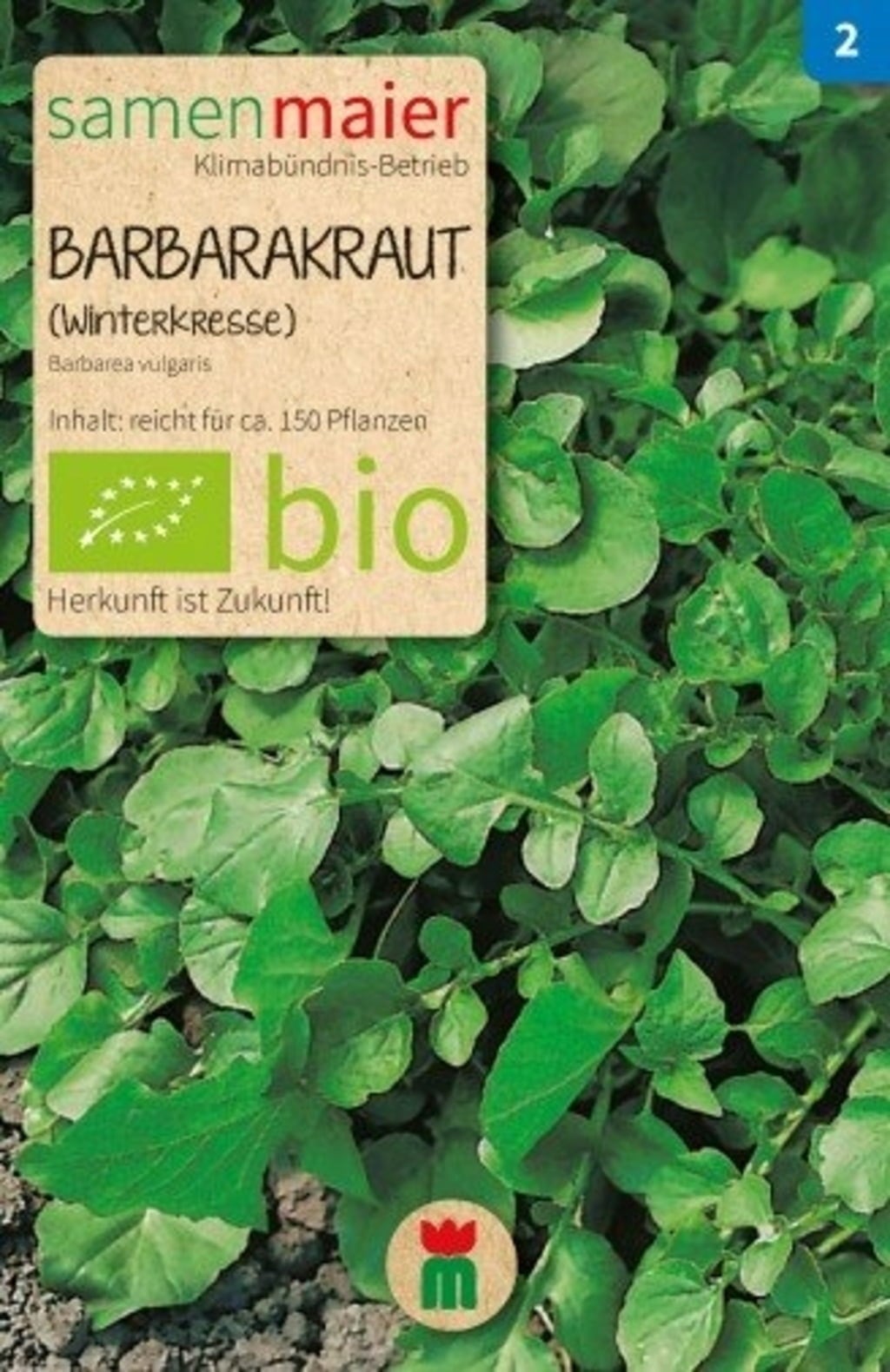 Samen Maier Bio set 