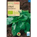 Samen Maier Bio Beet-Box - Verdure Invernali - 1 set