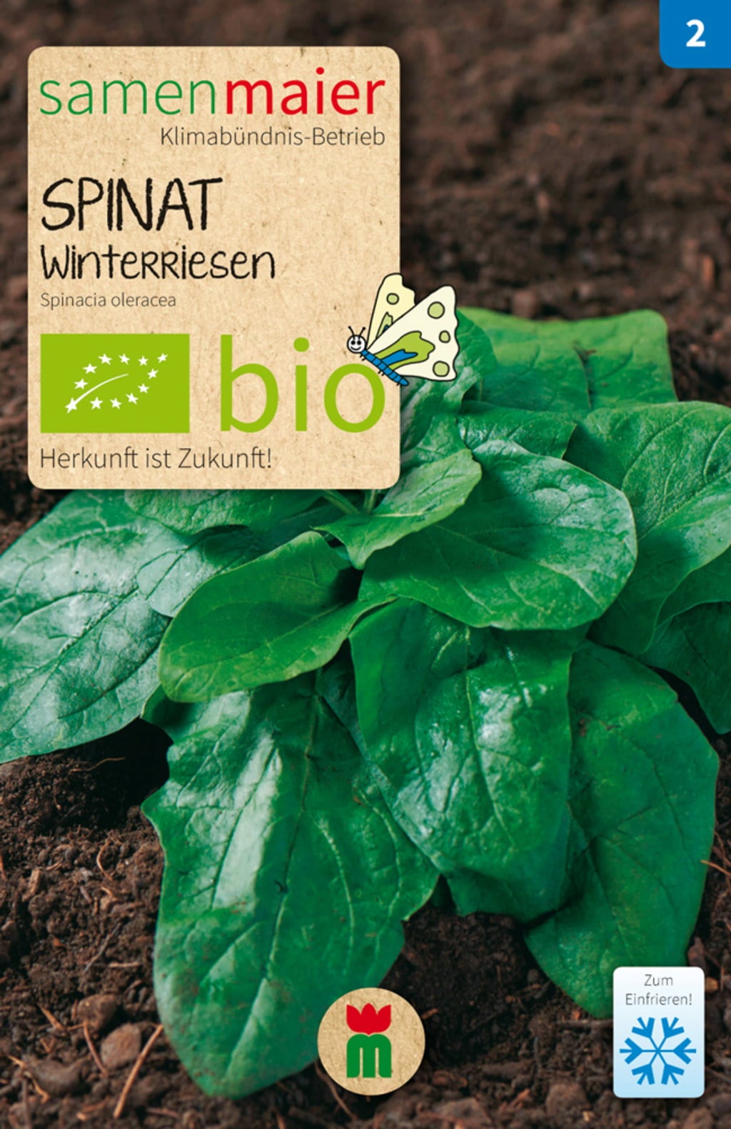 Samen Maier Bio set 