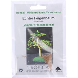 TROPICA Bonsai 