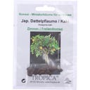 TROPICA Bonsaj „japonský tomel / kaki“