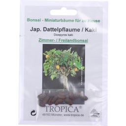 TROPICA Bonsaj „japonský tomel / kaki“