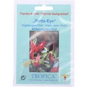 TROPICA Chili 