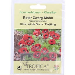 TROPICA Papavero Rosso Comune