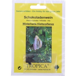 TROPICA Akebia de Cinco Hojas