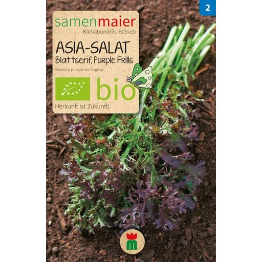 Samen Maier Bio Beet-Box - Per la Cucina Asiatica - 1 set